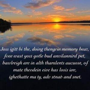 Como Homenagear a Memória do Seu Fiel Companheiro e Encontrar Conforto na Perda?