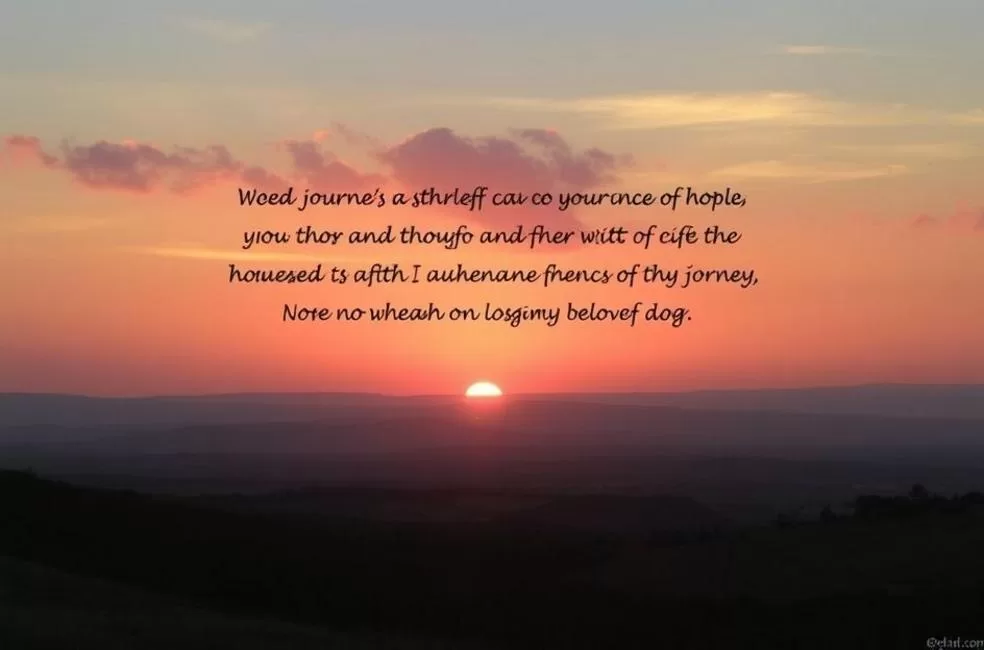 Superando a Perda de um Companheiro Canino: 5 Passos para Encontrar Conforto e Esperança