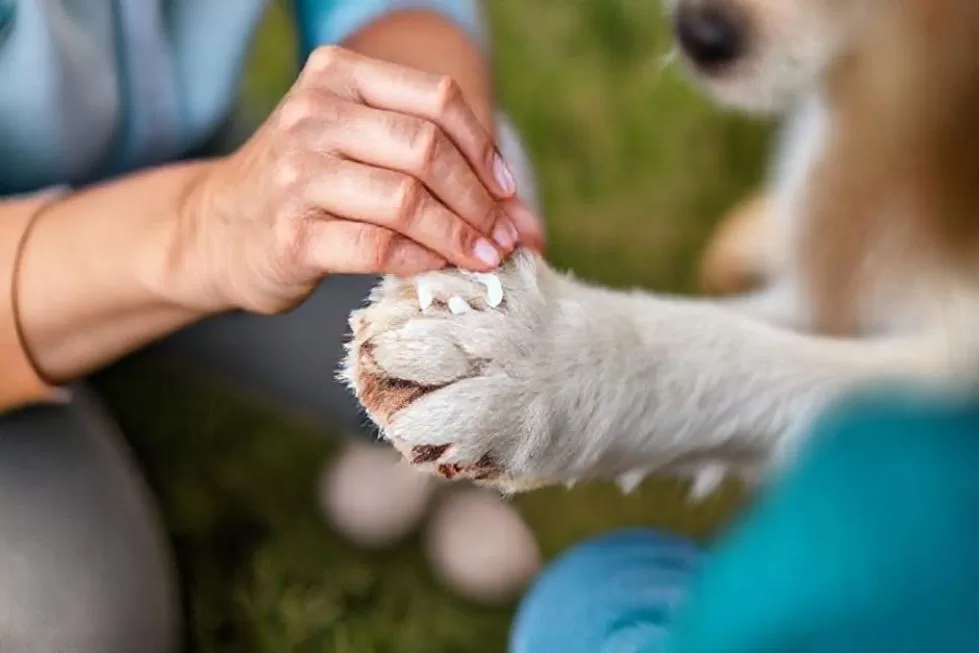 Tratamentos e Cuidados Práticos