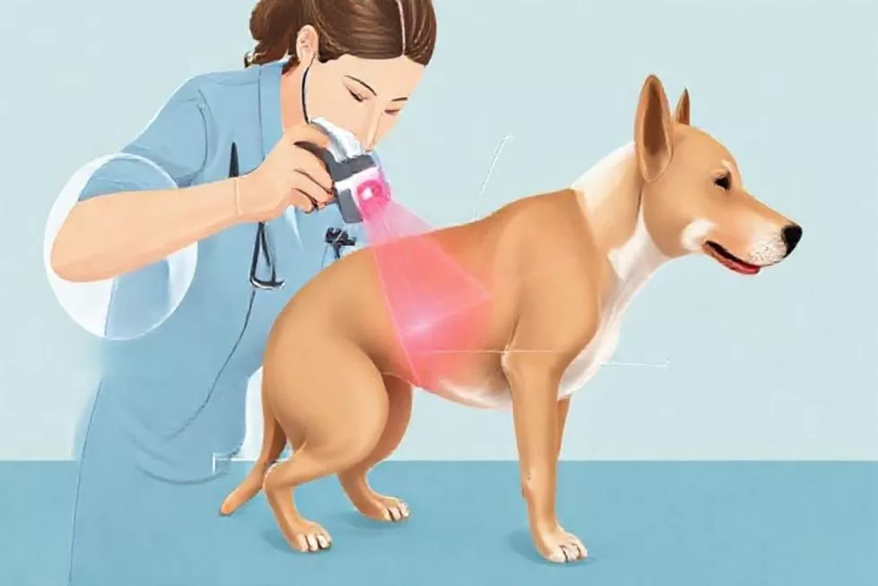 Como Funciona a Terapia com Laser Frio