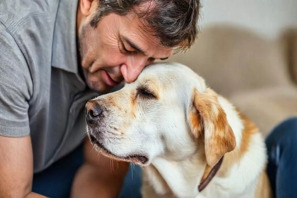 Como Agir em Caso de Engasgo Canino: Primeiros Socorros Essenciais para Cães Idosos 2 Sinais de Engasgo e Como Reconhecê-los